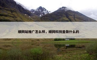 顺网站推广怎么样，顺网科技是做什么的