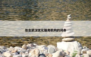 包含武汉优化服务机构的词条