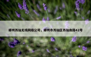 郴州苏仙无线网络公司，郴州市苏仙区苏仙南路42号