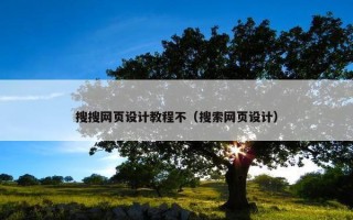 搜搜网页设计教程不（搜索网页设计）
