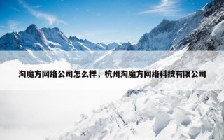 淘魔方网络公司怎么样，杭州淘魔方网络科技有限公司