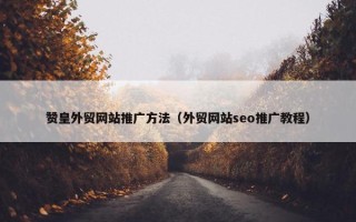 赞皇外贸网站推广方法（外贸网站seo推广教程）
