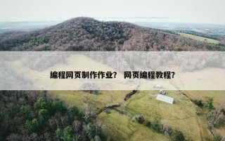 编程网页制作作业？ 网页编程教程？