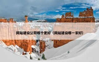 网站建设公司哪个更好（网站建设哪一家好）
