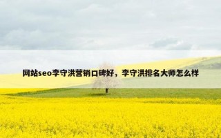 网站seo李守洪营销口碑好，李守洪排名大师怎么样