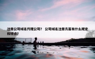 注册公司域名代理公司？ 公司域名注册方面有什么规定和特点？