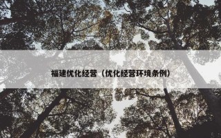 福建优化经营（优化经营环境条例）