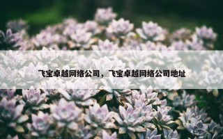 飞宝卓越网络公司，飞宝卓越网络公司地址
