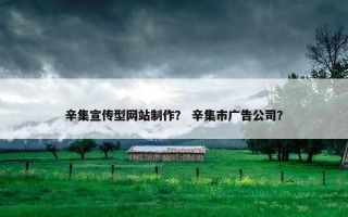 辛集宣传型网站制作？ 辛集市广告公司？