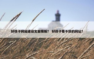 好孩子网站建设文案模板？ 好孩子看不到的网址？