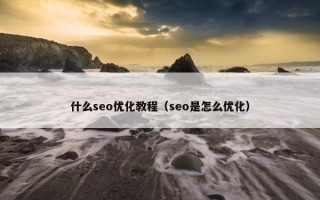 什么seo优化教程（seo是怎么优化）