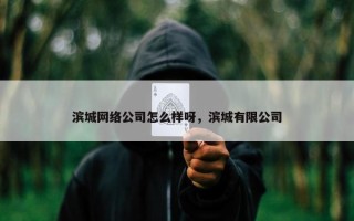 滨城网络公司怎么样呀，滨城有限公司