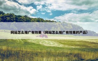网站怎么推广有效果（网站怎么推广有效果的产品）