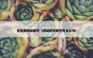 宜阳做网站制作（网站网页制作专业公司）
