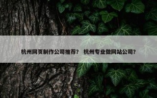 杭州网页制作公司推荐？ 杭州专业做网站公司？