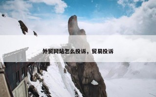外贸网站怎么投诉，贸易投诉