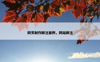 网页制作脚注案例，网站脚注