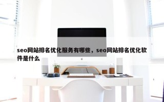 seo网站排名优化服务有哪些，seo网站排名优化软件是什么