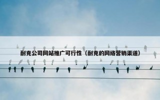 耐克公司网站推广可行性（耐克的网络营销渠道）
