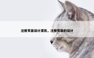 注册页面设计漂亮，注册页面的设计