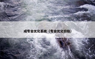 成专业优化系统（专业优化价格）