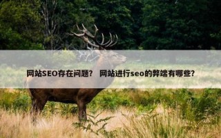 网站SEO存在问题？ 网站进行seo的弊端有哪些？