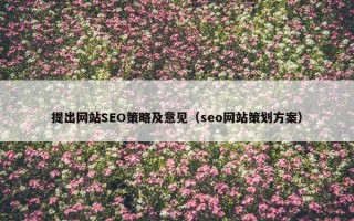 提出网站SEO策略及意见（seo网站策划方案）