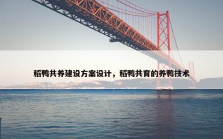 稻鸭共养建设方案设计，稻鸭共育的养鸭技术