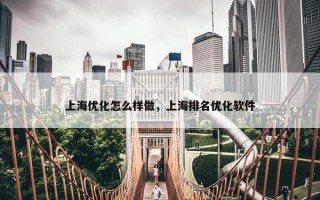 上海优化怎么样做，上海排名优化软件