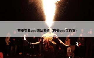 西安专业seo网站系统（西安seo工作室）