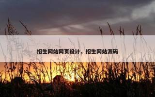 招生网站网页设计，招生网站源码