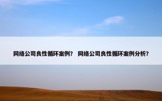 网络公司良性循环案例？ 网络公司良性循环案例分析？