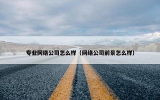 专业网络公司怎么样（网络公司前景怎么样）