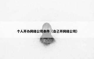 个人开办网络公司条件（自己开网络公司）