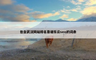 包含武汉网站排名靠谱乐云seo的词条