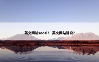 英文网站seosi？ 英文网站建设？