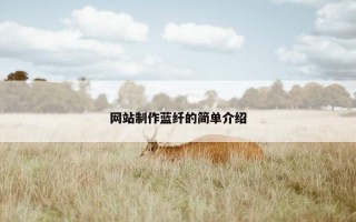 网站制作蓝纤的简单介绍