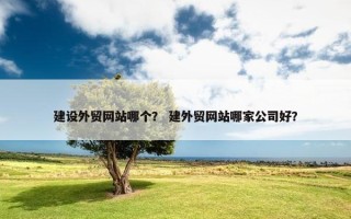 建设外贸网站哪个？ 建外贸网站哪家公司好？