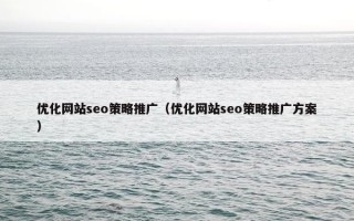 优化网站seo策略推广（优化网站seo策略推广方案）