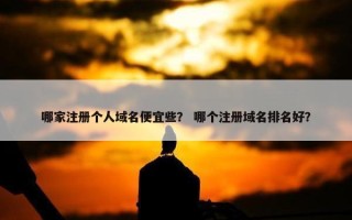 哪家注册个人域名便宜些？ 哪个注册域名排名好？