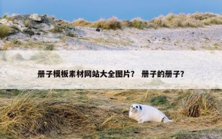 册子模板素材网站大全图片？ 册子的册子？