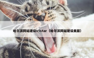 哈尔滨网站建设v5star（哈尔滨网站建设美丽）