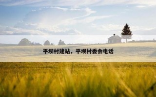 平坝村建站，平坝村委会电话