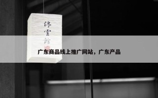 广东商品线上推广网站，广东产品
