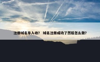 注册域名导入收？ 域名注册成功了然后怎么做？