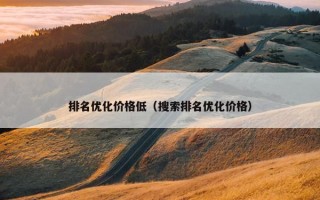 排名优化价格低（搜索排名优化价格）