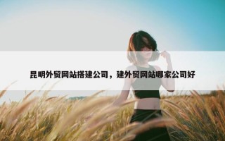 昆明外贸网站搭建公司，建外贸网站哪家公司好