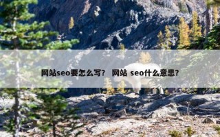 网站seo要怎么写？ 网站 seo什么意思？