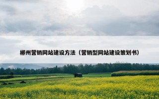 郴州营销网站建设方法（营销型网站建设策划书）