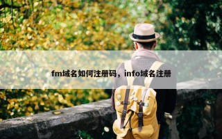 fm域名如何注册码，info域名注册